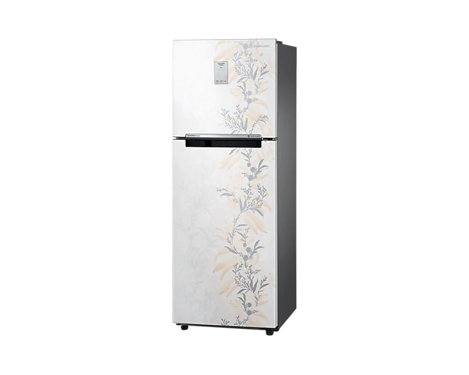 Samsung 244 L 3 Star Frost-Free Double Door Refrigerator RT28T3A336W/HL