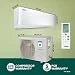 Blue Star 2 Ton 3 Star, Inverter Split AC (Copper, Convertible 5 in 1 Cooling, Auto Defrost, Dust Filters, Blue Fins, IC324YNU, White)