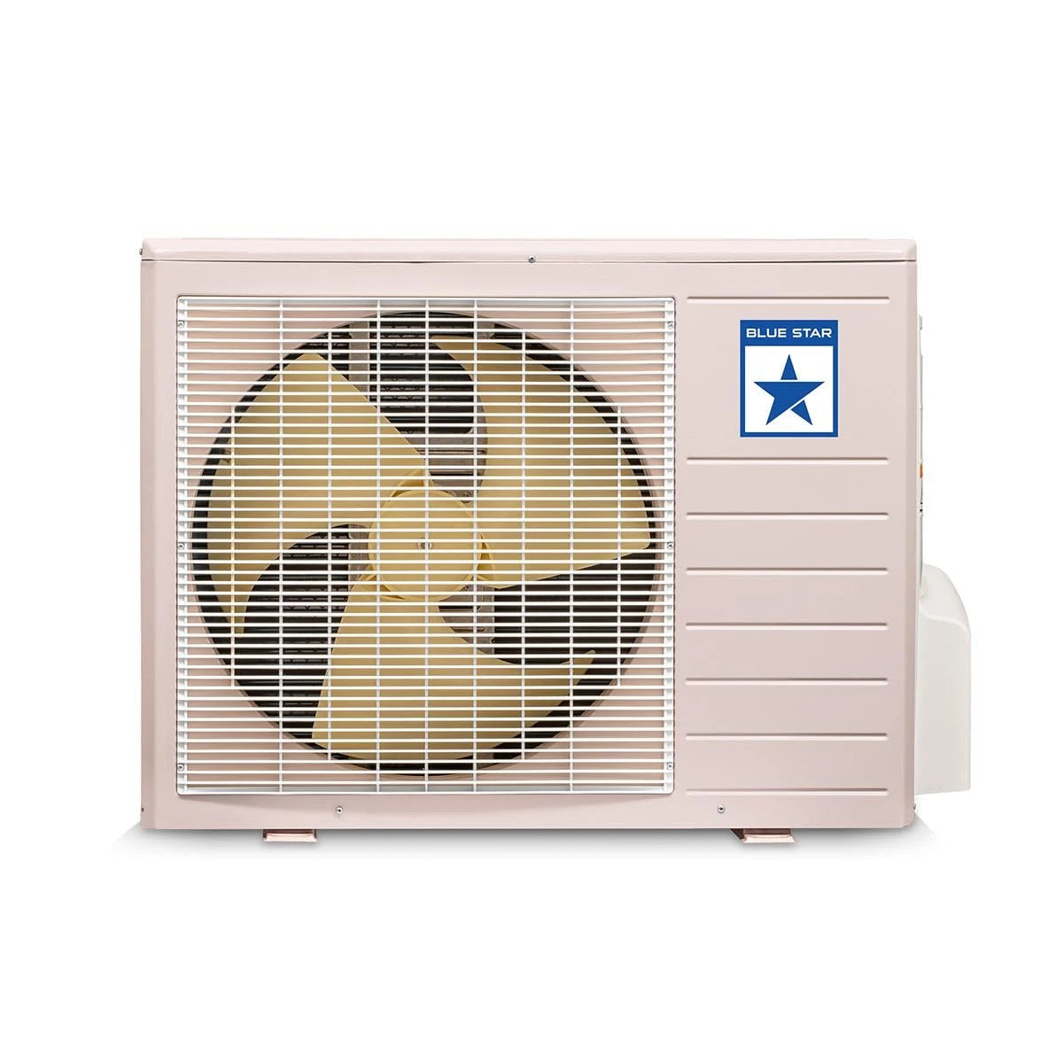 Blue Star 1 Ton 3 Star Split AC (2023 Model, Copper Condenser, Dust Filter, FB312DNU) Self Diagnosis, Auto Restart with Memory Function