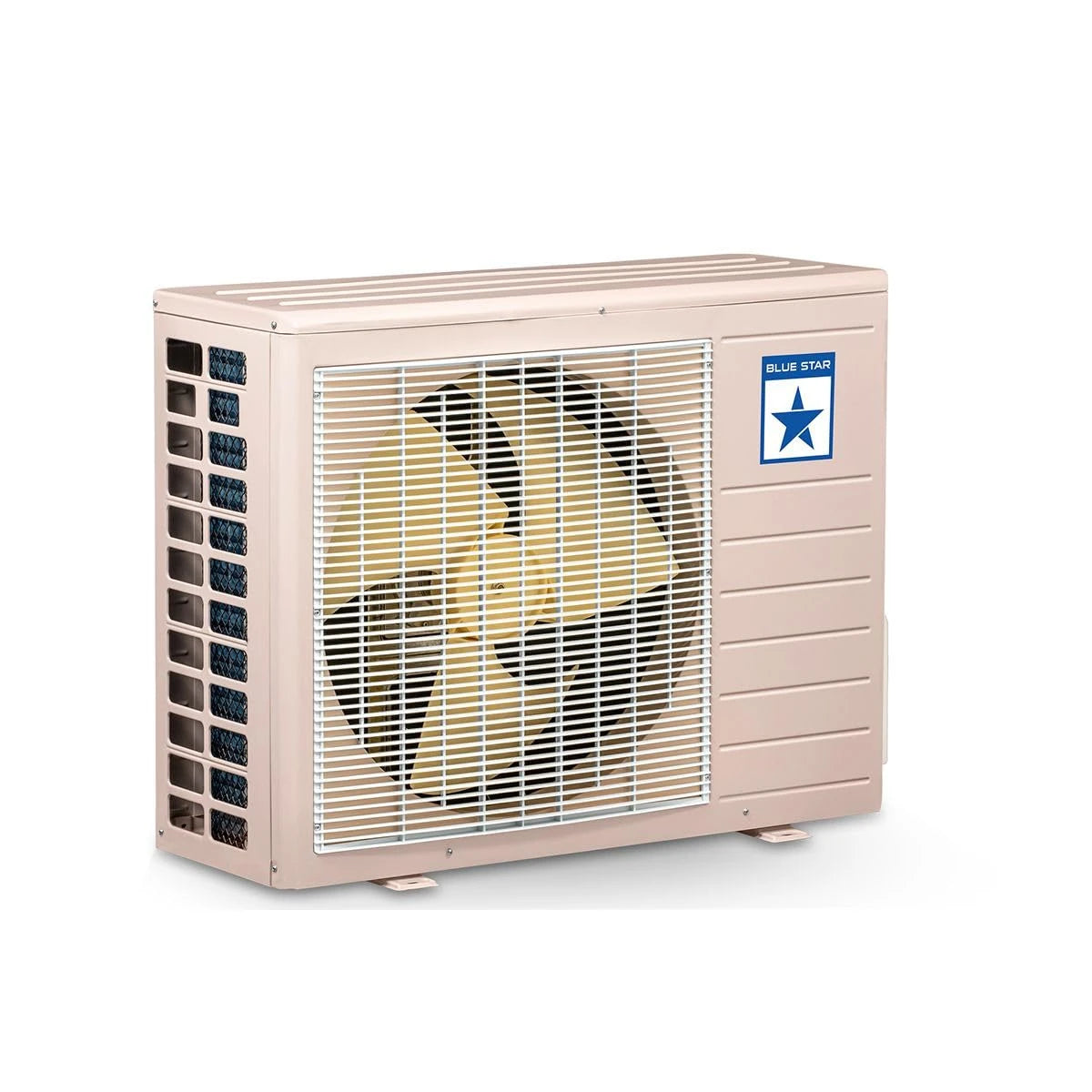 Blue Star 1 Ton 3 Star Split AC (2023 Model, Copper Condenser, Dust Filter, FB312DNU) Self Diagnosis, Auto Restart with Memory Function