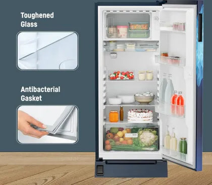 Liebherr ‎‎DFPlmE 2031 202 L 5 Star Single Door Refrigerator: Efficient Cooling for Small Spaces