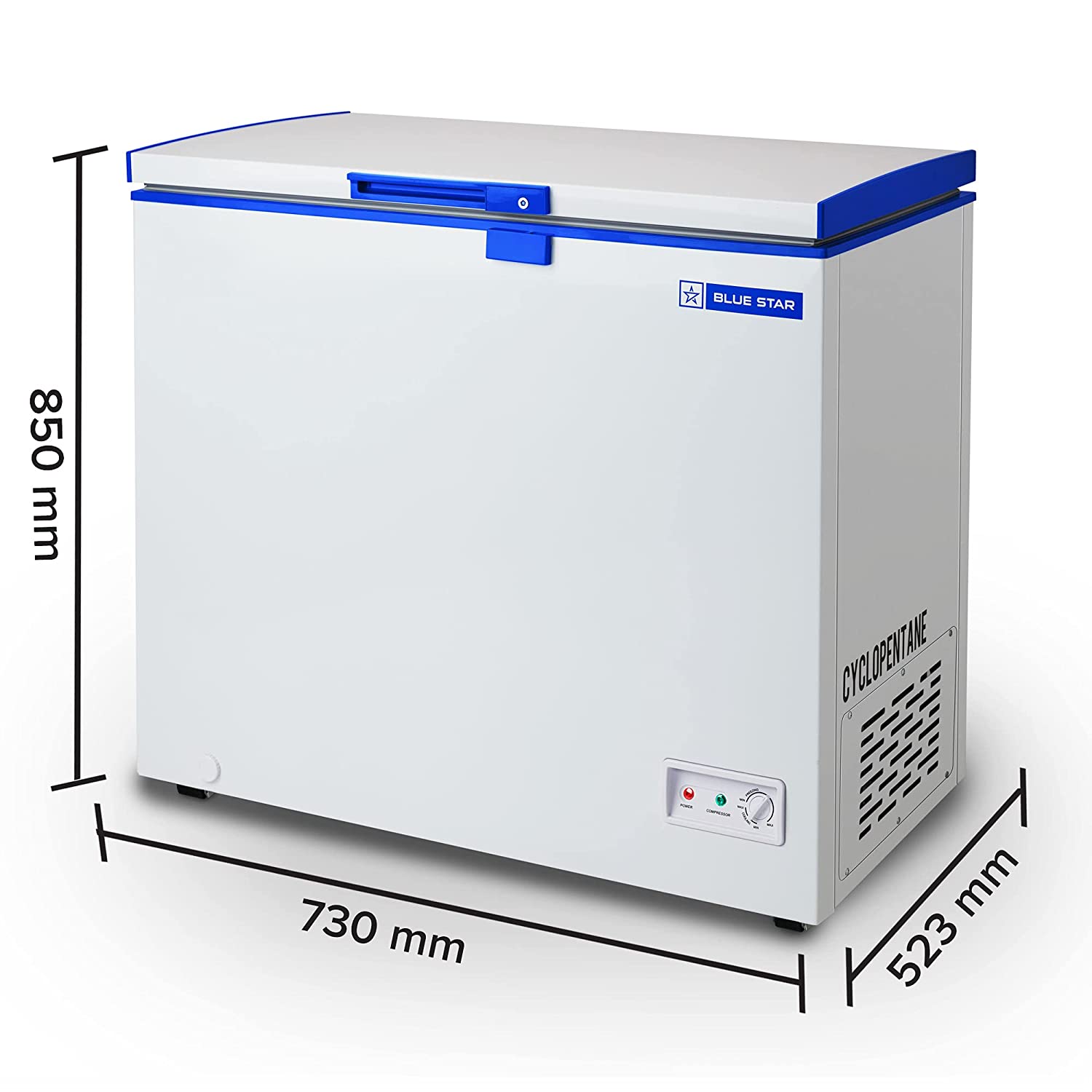 BLUE STAR CHFSD100DHPW Single Door Deep Freezer (95 Ltrs, White)
