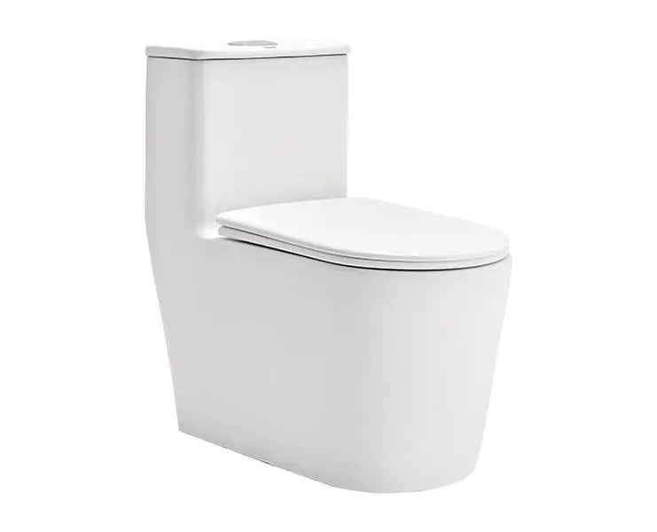 Cera A1014109 Senator Elanore Rimless One Piece EWC S Trap 300 mm Toilet Seat- 680x365x705 mm