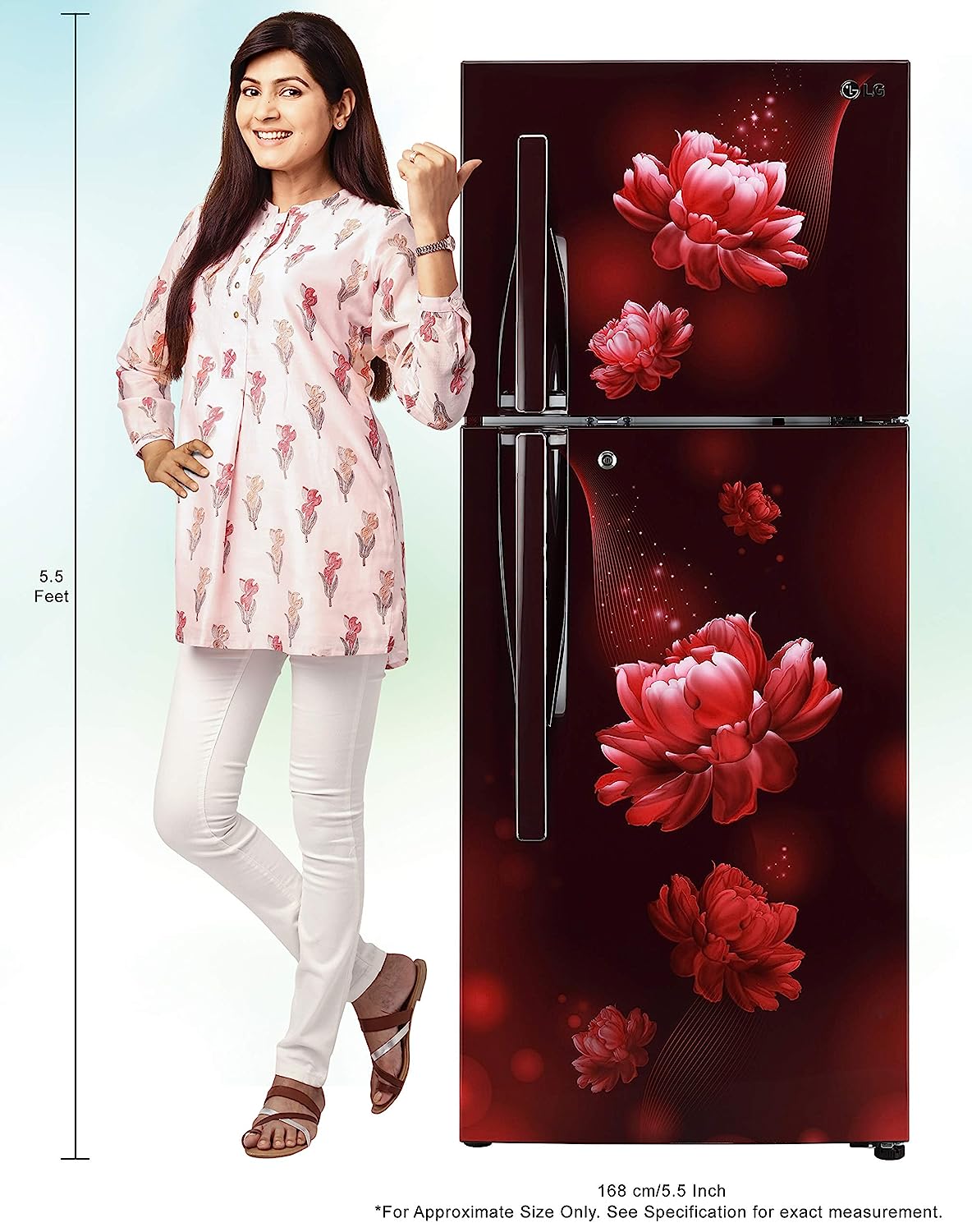 LG 260 L 2 Star Frost Free Inverter Double Door Refrigerator (GL-T292RSCY, Scarlet Charm, Convertible)
