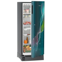 Liebherr 191L Single Door Fridge DFPtsE 1931: Compact Cooling Solution for Any Space
