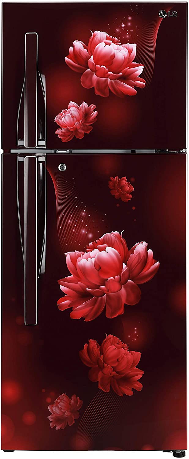 LG 260 L 2 Star Frost Free Inverter Double Door Refrigerator (GL-T292RSCY, Scarlet Charm, Convertible)