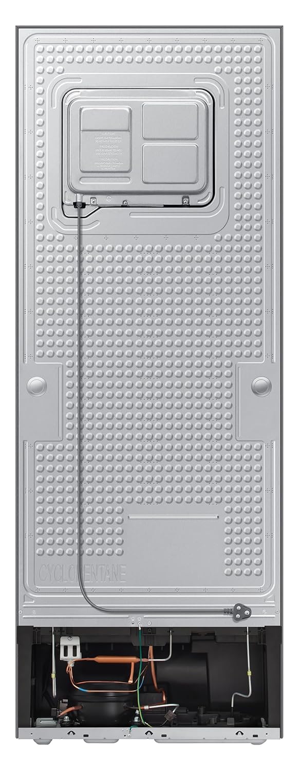 Samsung 330L 2-Star WiFi Double Door Refrigerator (RT34DG5A2BS8HL): 5-in-1 Convertible, Digital Inverter, Frost Free