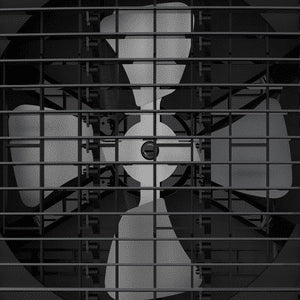 Havells Desert Air Cooler Celia Series