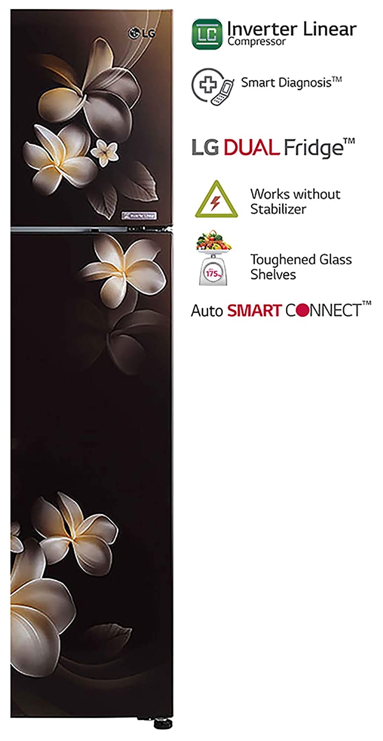 LG 308 L 3 Star Inverter Linear Frost-Free Double-Door Refrigerator (GL-T322RHPN, Hazel Plumeria, Convertible)