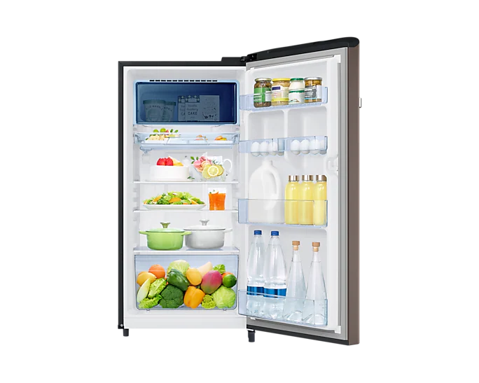 Samsung 189L 5 Star Inverter Direct-Cool Single Door Digi-Touch Refrigerator RR21C2E25DX/HL