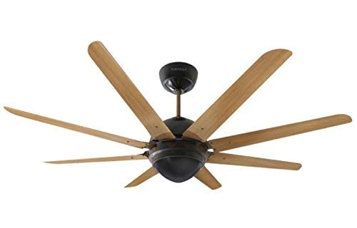 Havells Octet 1320mm Ceiling Fan (Walnut Black Nickel)