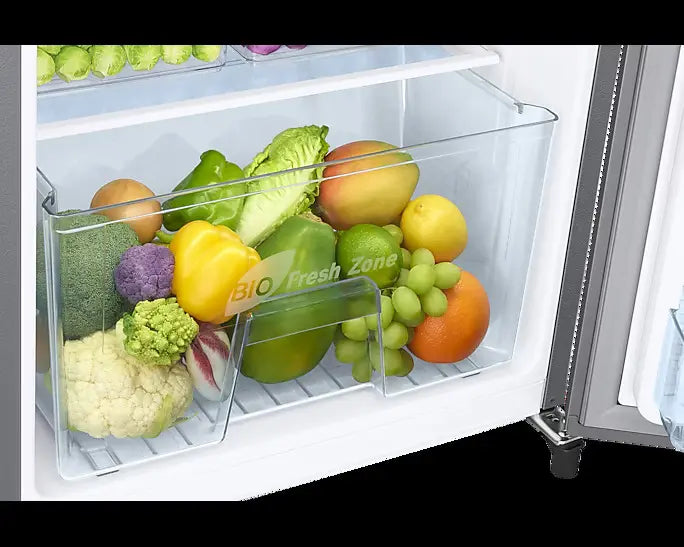 Samsang 183L Stylish Grandé Design Single Door Refrigerator RR20C11C2GS