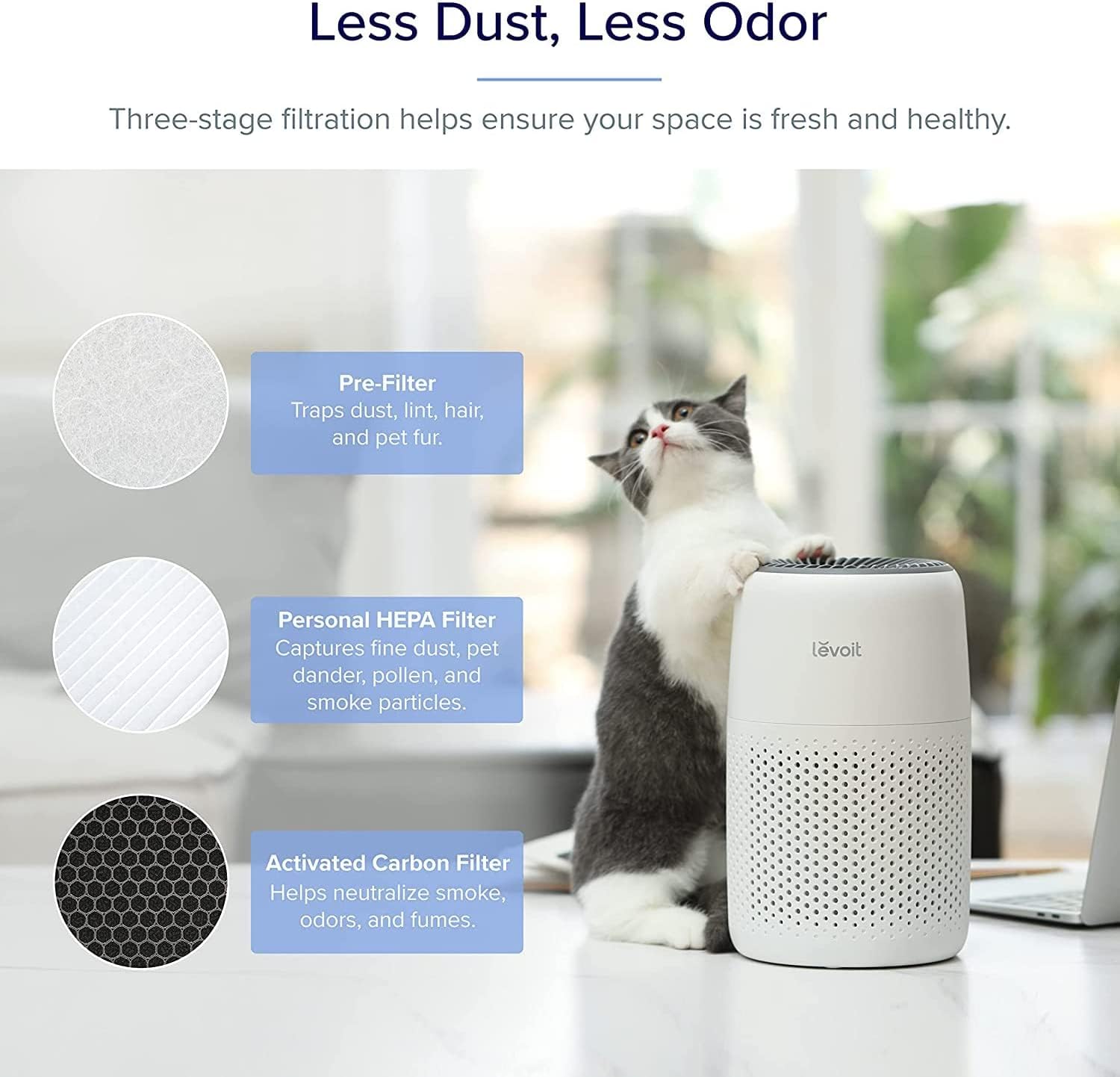 LEVOIT Core Mini Air Purifier - 183 Sq Ft Coverage, H13 True HEPA Filter, Removes Pollutants