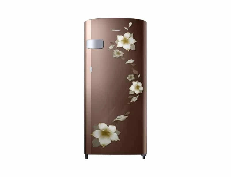 Samsung 192 L 2 Star Direct-Cool Single-Door Refrigerator (RR19N2Y22D2)