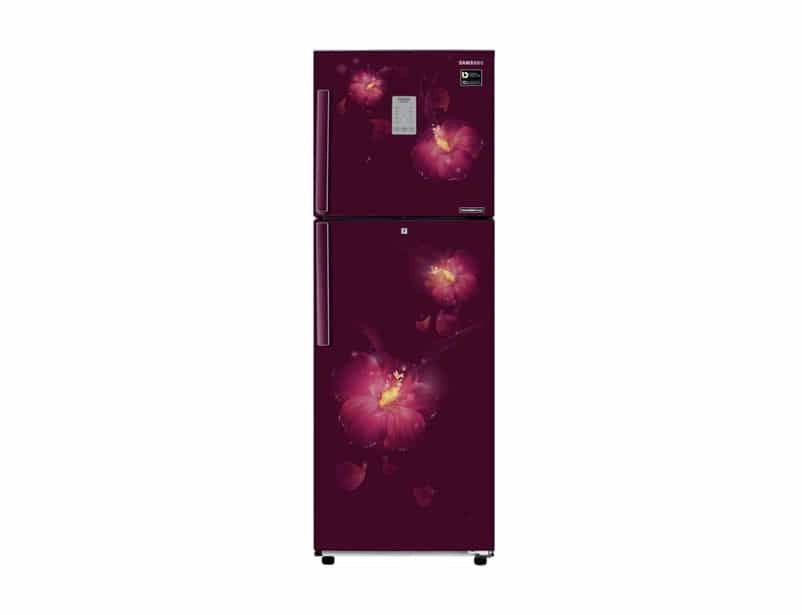 Samsung 253 L 2 Star Inverter Frost-Free Double-Door Refrigerator (RT28N3722R3/NL, Rose Mallow Plum)