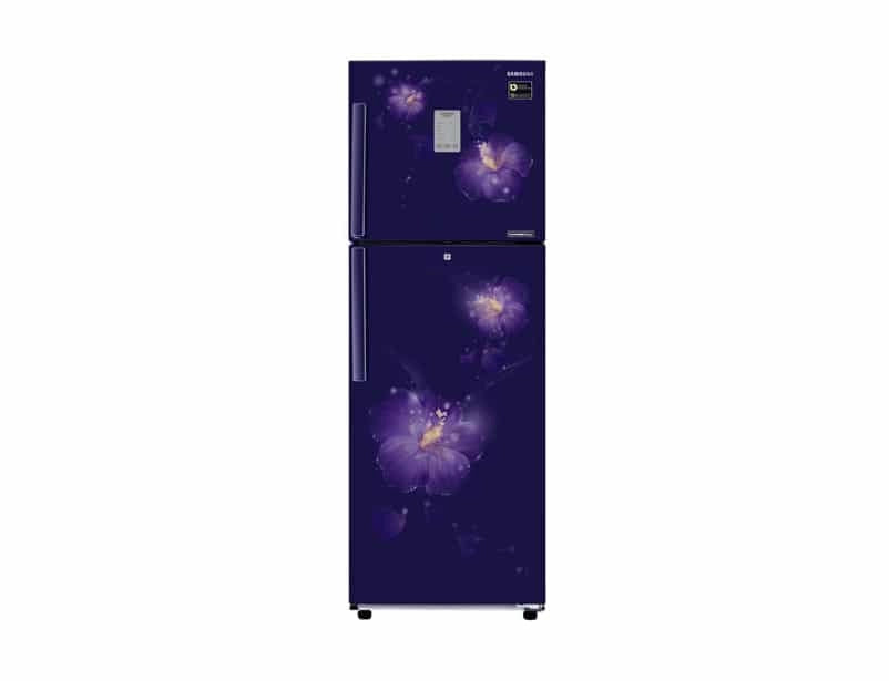Samsung 253L Frost Free Digital Inverter Refrigerator ( RT28M3954U3/HL)