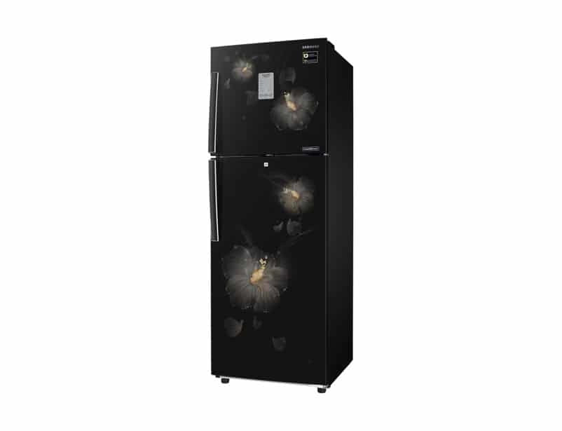 Samsung 253L Frost Free Digital Inverter Refrigerator ( RT28M3983B3/HL)