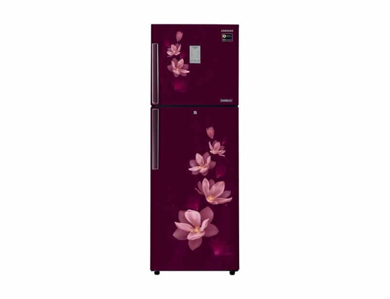 Samsung 275 L 4 Star Frost-free Double Door Refrigerator (RT30M3954R7, Magnolia Plum)