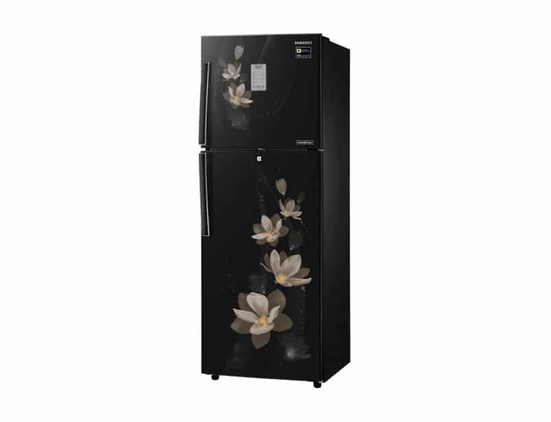Samsung 275 L 3 Star Inverter Frost-Free Double-Door Refrigerator (RT30N3983B7/HL, Magnolia Black)