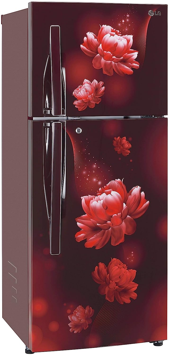 LG 260 L 2 Star Frost Free Inverter Double Door Refrigerator (GL-T292RSCY, Scarlet Charm, Convertible)