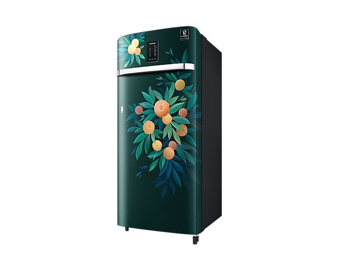 Samsung 215L 4 Star Inverter Direct-Cool Single Door Digi-Touch Refrigerator RR23C2E24NL/HL
