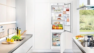 Liebherr 249L FiBBmA2556: Energy-Efficient Bottom Freezer Refrigerator with 249L Capacity