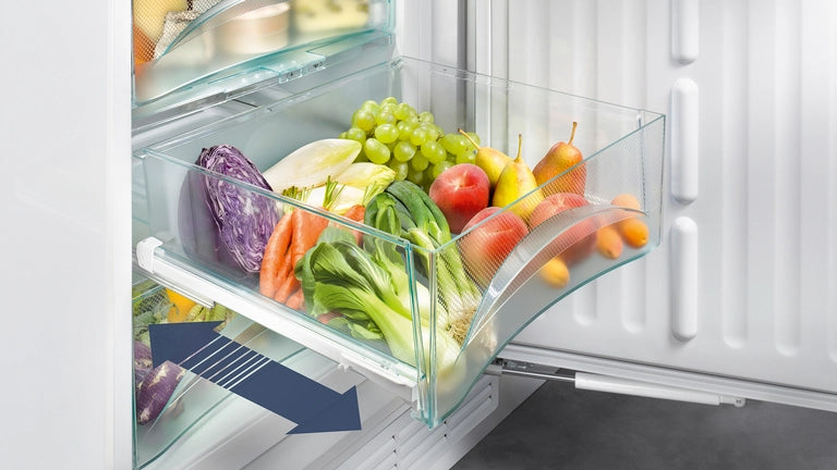 Liebherr 249L FiBBmA2556: Energy-Efficient Bottom Freezer Refrigerator with 249L Capacity
