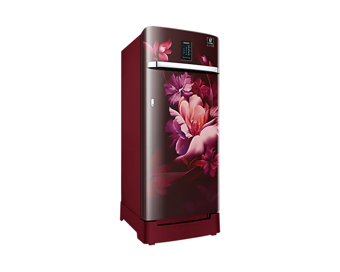 Samsung 209L 3 Star Inverter Direct-Cool Single Door Digi-Touch Curd Maestro Refrigerator RR23C2K33RZ/HL