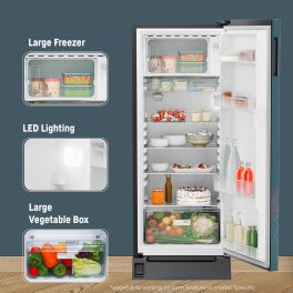 Liebherr 202L Single Door Refrigerator DFPtsE 2031 - Efficient Cooling for Small Spaces