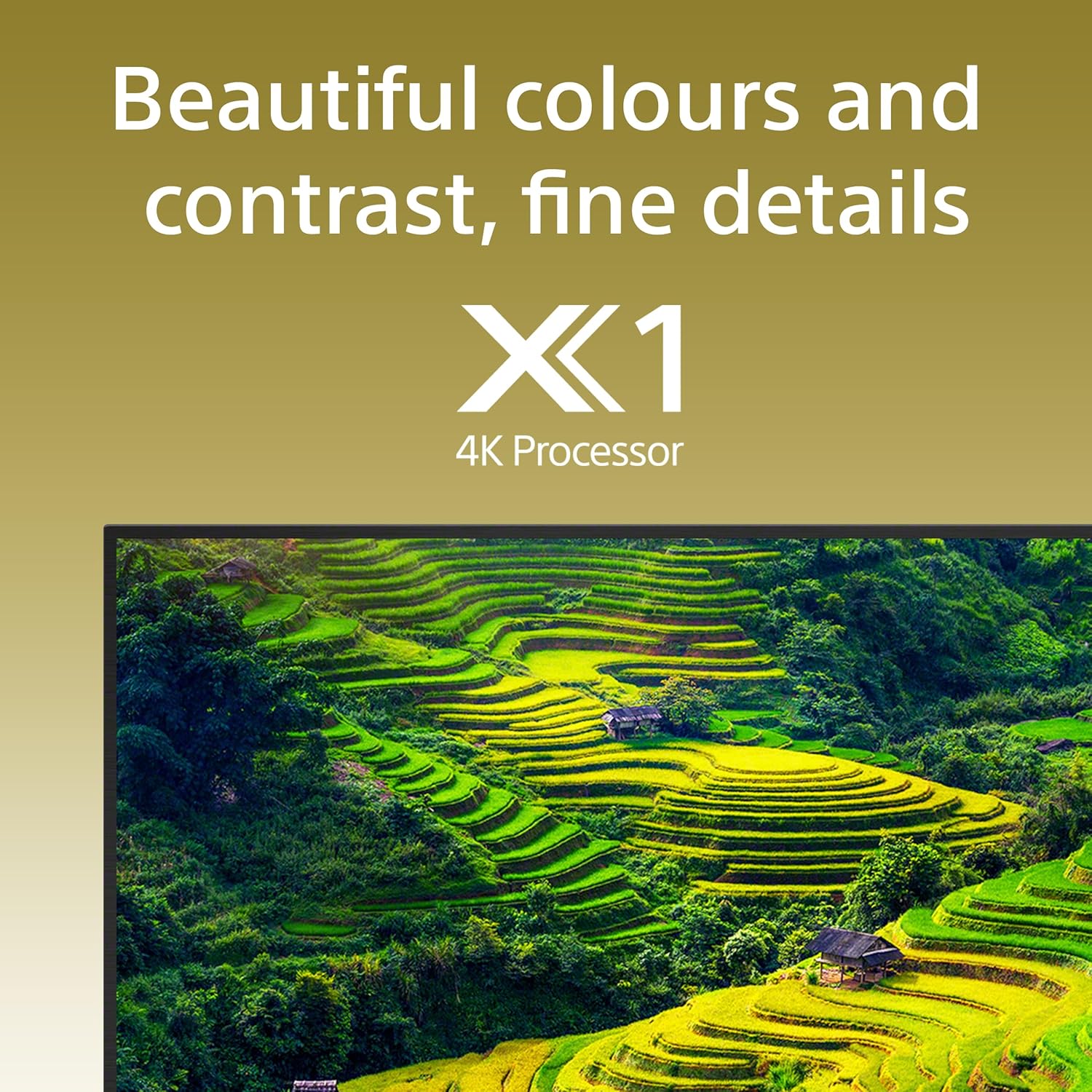 Sony BRAVIA 2 K-43S20B 43 4K Ultra HD Smart TV with 4K Processor X1™ and HDR