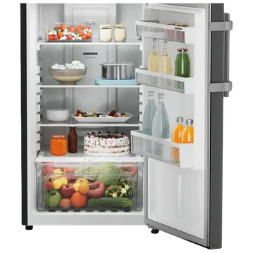 LIEBHERR Pure 245L 2 Star Frost Free Double Door Fridge with Anti-Bacterial Gasket (TCLbsB 2411, Black Steel)