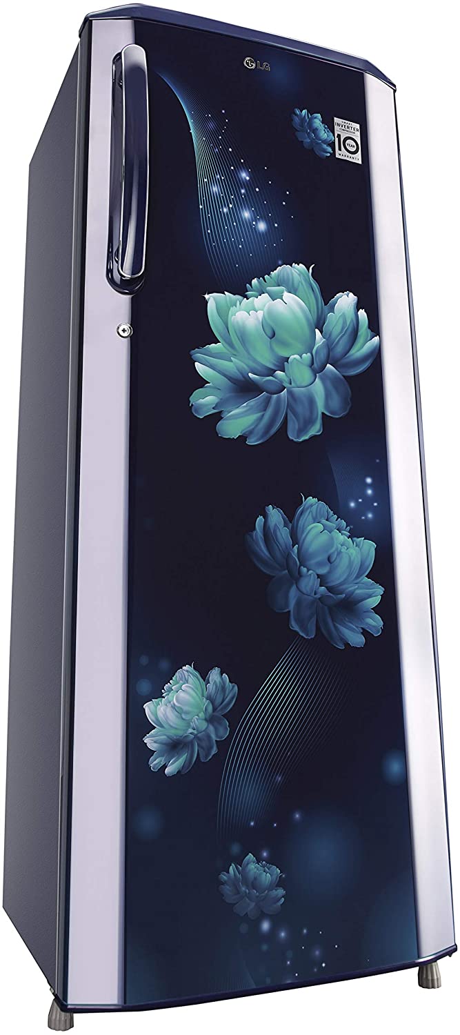 LG 261 L 3 Refrigerator GL-B281BBCX  Blue Charm
