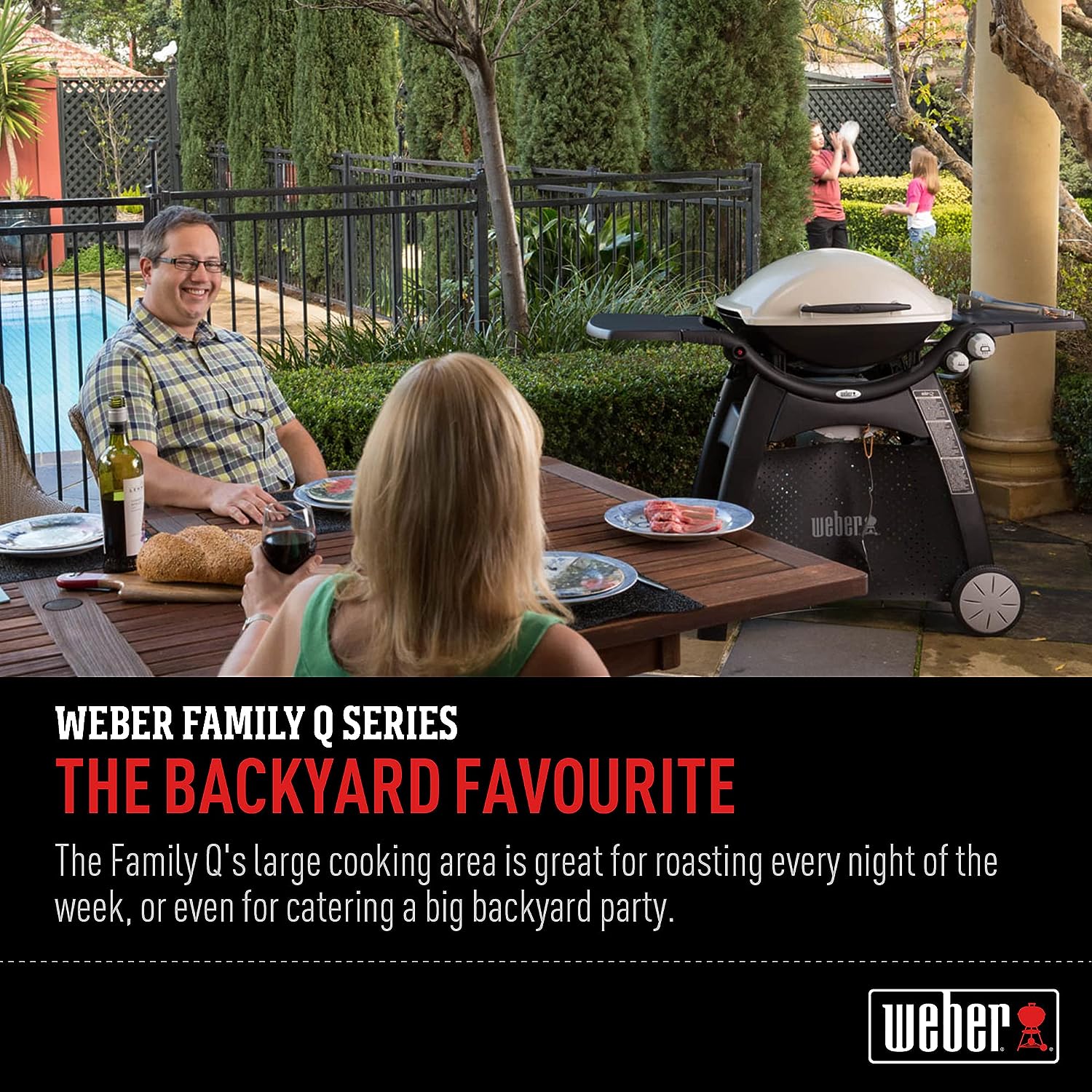 Weber Family Q - 3100 Titanium (Q3100) Barbeque Gas Grill