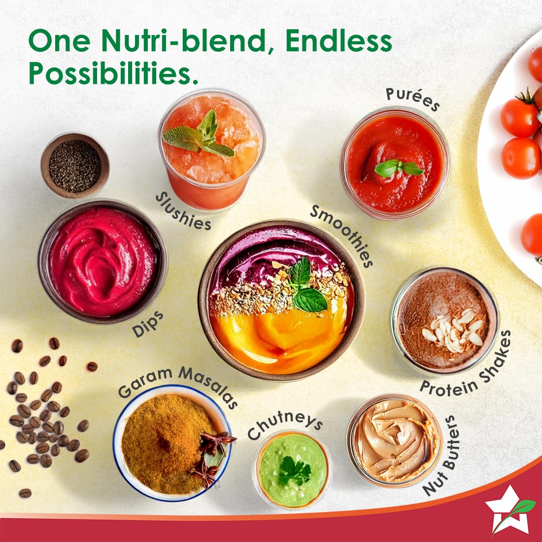 Wonderchef Nutri-Blend Photon 63154603 graphic of smoothies, dips, chutneys, garam masalas, nut butters and other recipes