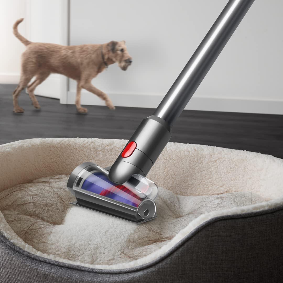 Dyson V15 Detect 381356-01 with a small motorised tool removing pet hair from a dog bed