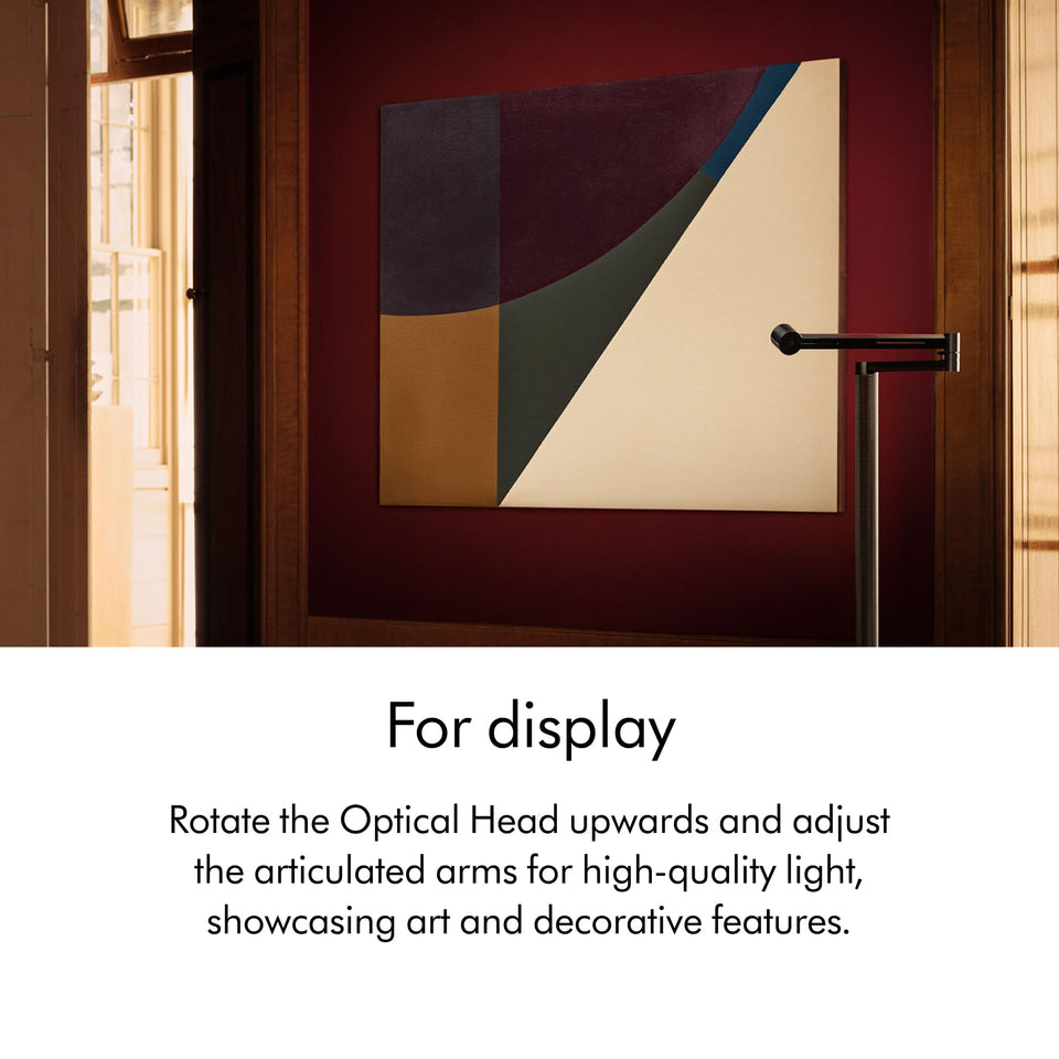 Dyson Solarcycle Morph CF06 floor light with optical head rotated up to light a framed artwork